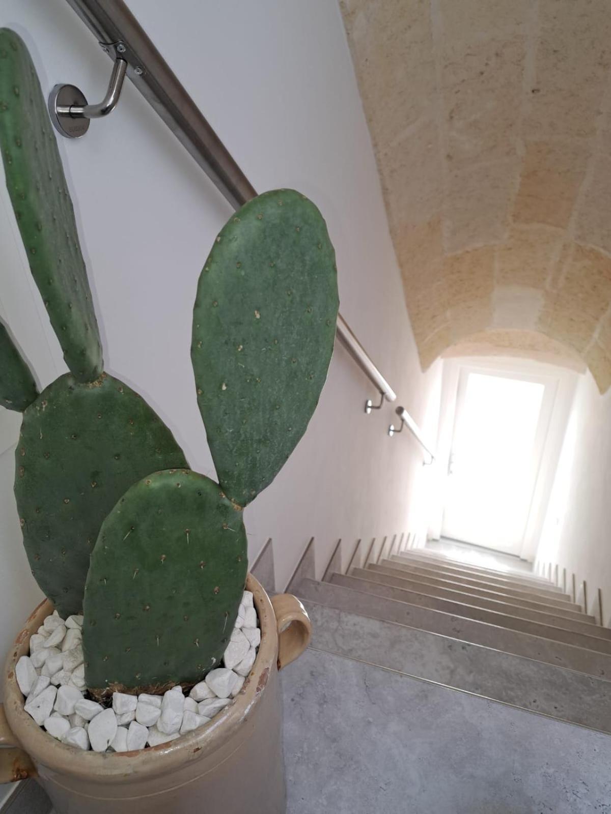 Mae Apulian Rooms กร็อตตาเย ภายนอก รูปภาพ